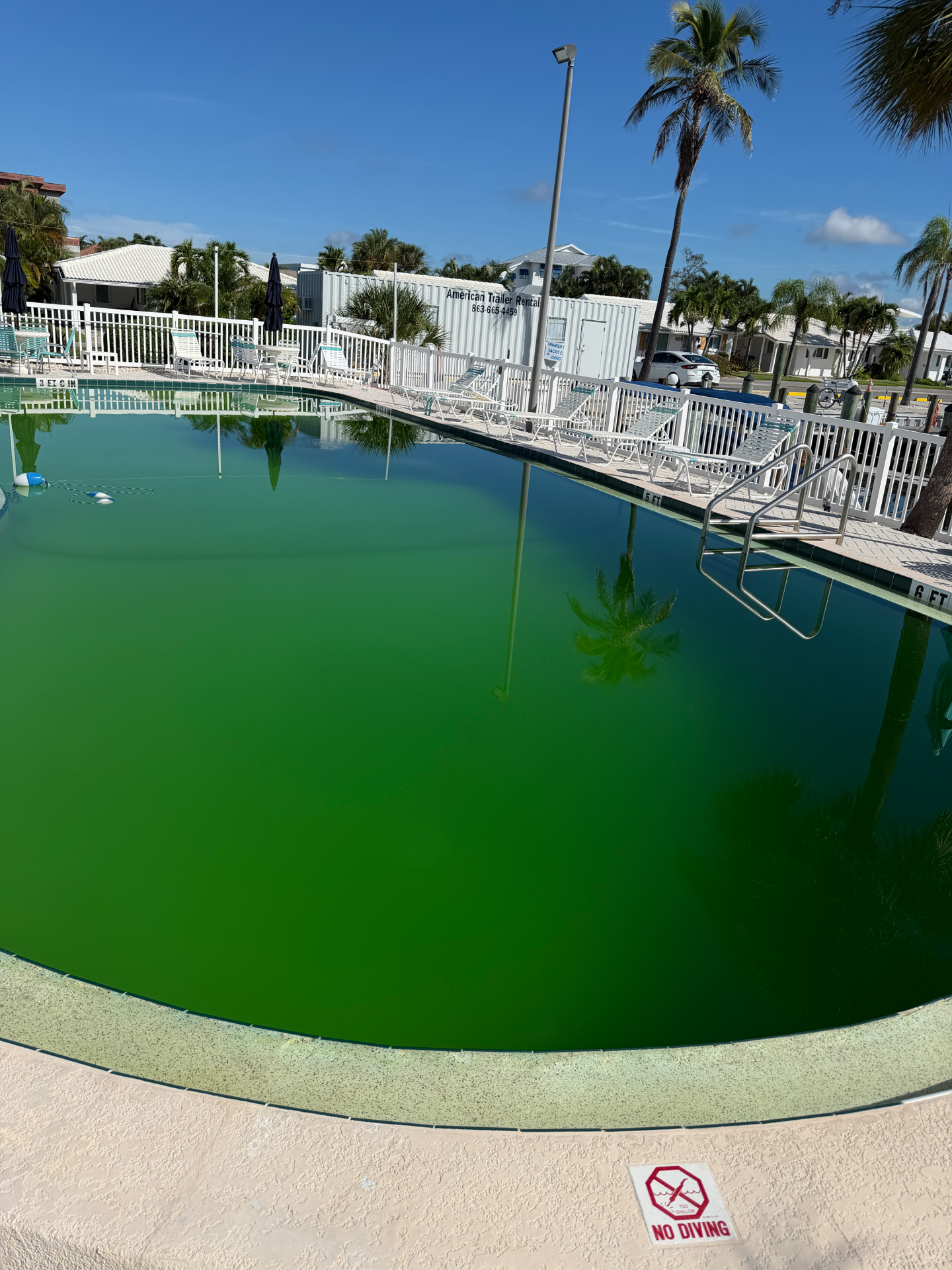 Green-to-Clean Recovery before — green algae pool